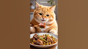 Cute Cat Making Food for Lunch #shorts #cutecat #cat #shortvideo #funnycats #fyp #shortsviral