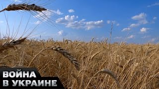 🌾Европа массово отказывается от украинского зерна