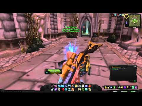 World of Warcraft