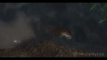 JUNGLE- Ecos: La Brea Mini Music Video (Slight Flash/Animal Death warning)