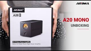Unboxing the AIYIMA A20 MONO | 300W Mono Power Amplifier