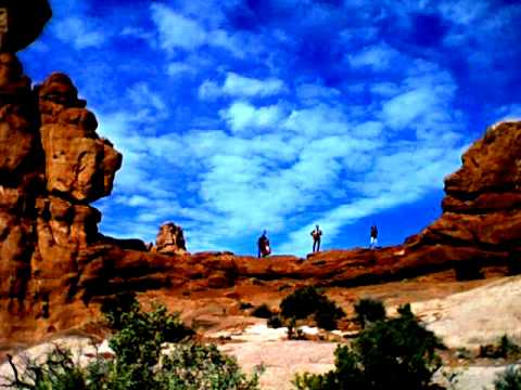 John Shannon — John Shannon - Lion's Mane