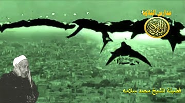 تأثر رهيب وابداع فوق الوصف _ الشيخ محمد سلامه _ سورة فصلت _ نوادر الزمن الجميل