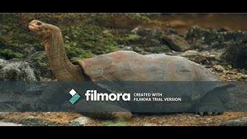 How Populations Evolve