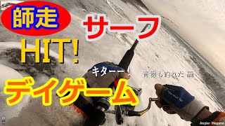 サーフ・師走・デイゲーム【青物も釣れた  編】