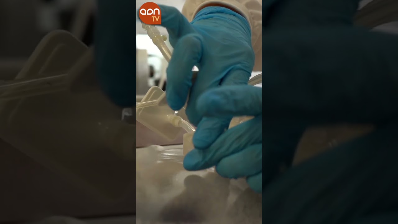 Avances en la producción eficiente y sostenible de carne cultivada 