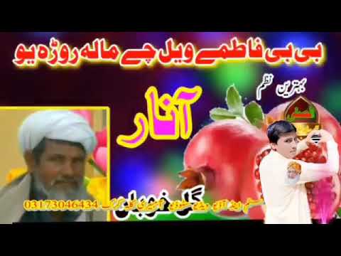 گل خوبان ککی بی بی فاطمے ویل چہ مالہ راستہ خوک انار