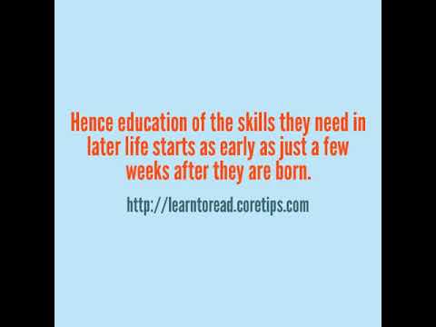 camera iphone 8 plus apk Kids Learn To Read