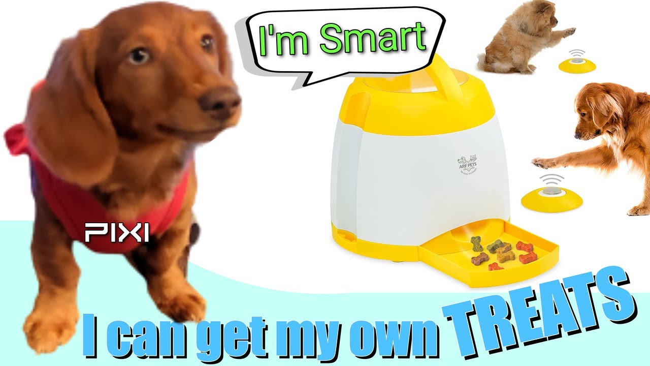 PETGEEK Automatic Dog Treat Dispenser, Dog Puzzle Memory Training Activity  Toy- IQ Training Dog Button Feeder, Remote Dog Button Treat Dispenser for  Dogs Green 2