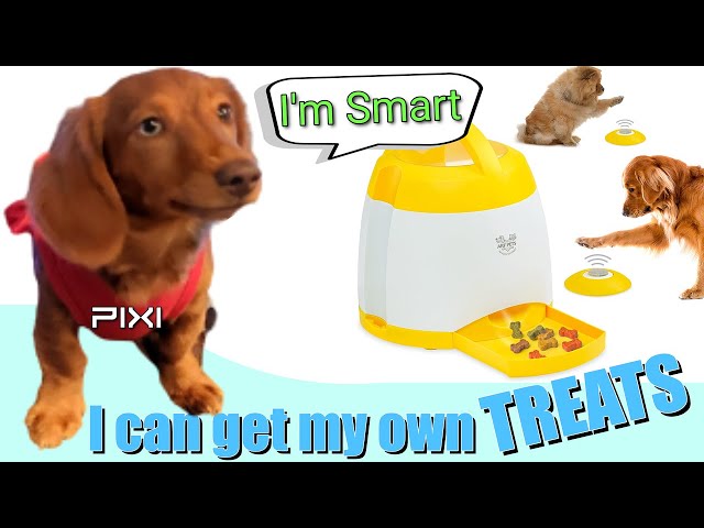 Our Doggie LOVES getting her own treats now. Dog Treat Dispenser