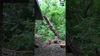 Removing storm damaged tree from house.