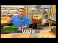 Comment le son de la voix se formetil   cest pas sorcier