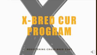 UKC X Bred Cur Program