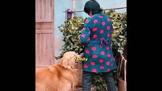 This Loyal Dog Does Everything for His Family #shorts