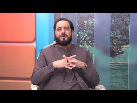 Video: Leker av Prince Al-Waleed Bin Talal