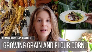 Growing Grain and Flour Corn (Planting to Harvest)