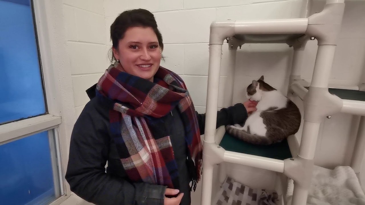 PET OF THE WEEK (ft. Olivia Burleigh) YouTube