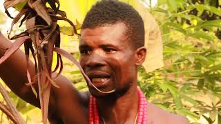 You Have Disgrace Me Evegh Koose1