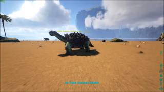 How to use ACM with ARK's V246.0  Update [TEMPORARY]