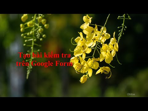 Video Tạo bài kiểm tra trên GG Form - youtube