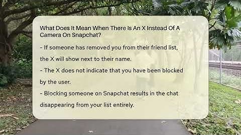 What Does It Mean When There Is An X Instead Of A Camera On Snapchat? - Everyday-Networking
