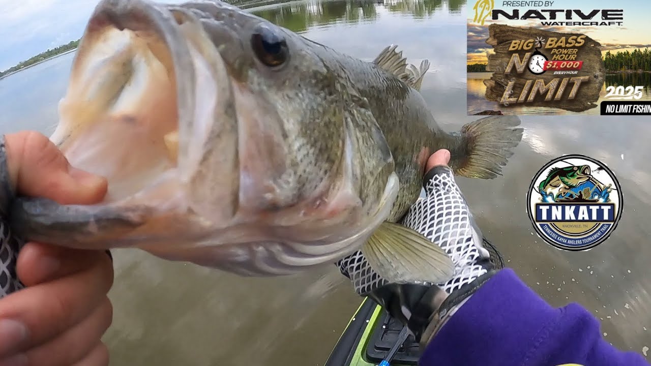 Did I Find a $1,000 Bass at Lake Chickamauga? Two Days of Practice!