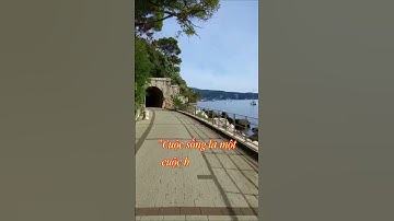 #shorts Châm Ngôn Cuộc Sống: Những Câu Nói Hay Giúp Tâm Trạng Tốt Hơn