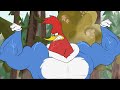 El Pájaro Loco Episodio Completo | Deseo de Winnies | Dibujos Animados | Caricaturas