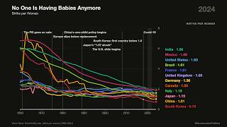 No One Is Having Babies Anymore Fertility Rates 1960 2024