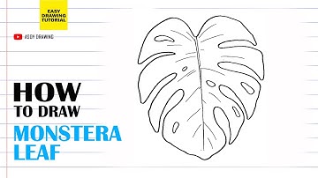 How to draw Monstera Leaf Easy