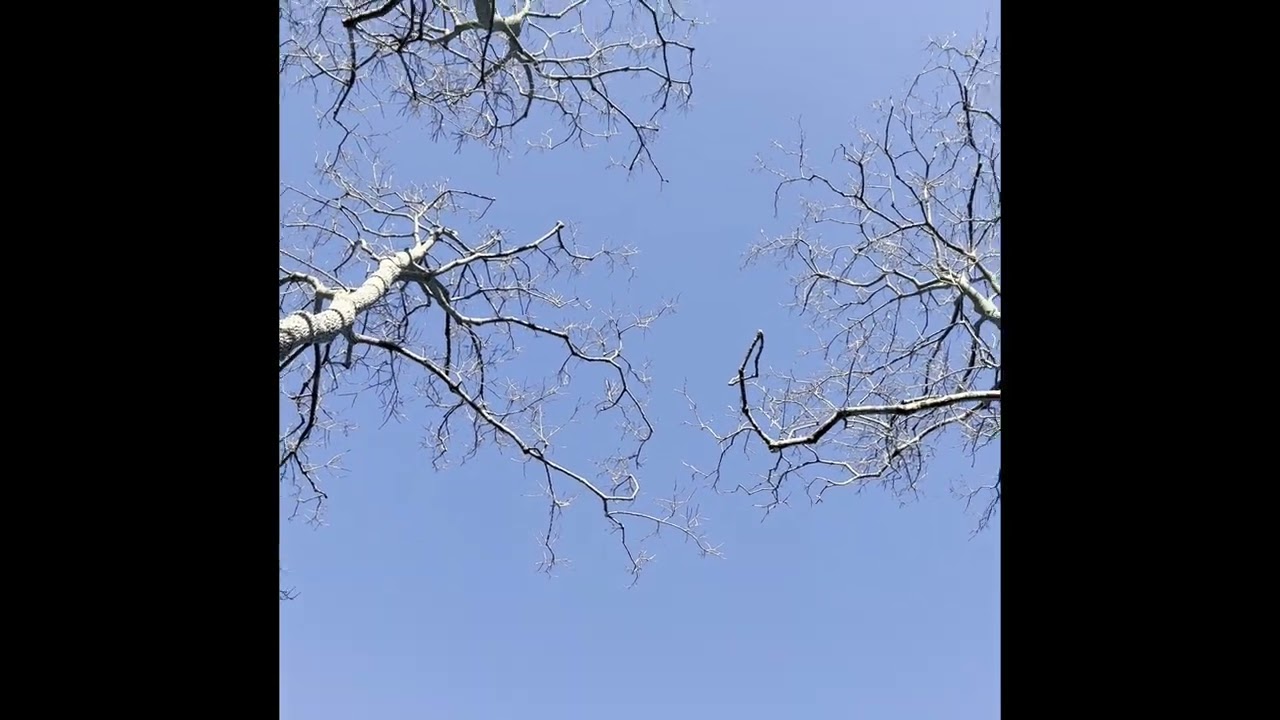 Join me on a SUPER sniffly walk (I forgot to bring tissues)