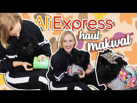 a-kutyámnak-rendeltem-aliexpressről