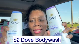 Shopping Haul from Walgreens, CVS, Ollie’s, Roses, and Dollar Tree
