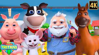 old macdonald had farm more nursery rhymes cartoon videos