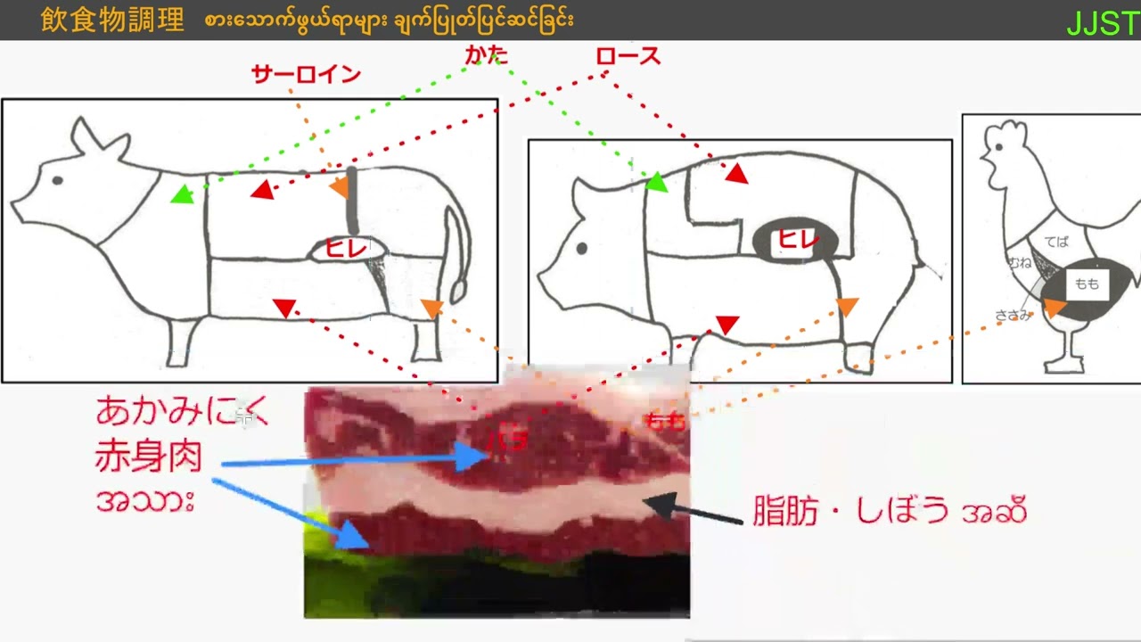 စားသောက်ဆိုင် Tokuteigino Food Service Exam အပိုင်း(၃)