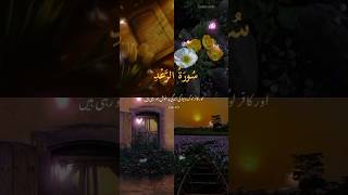 Surah Ar-Ra'd Quran Tilawat Urdu Translation #shorts #trustonallah #quran