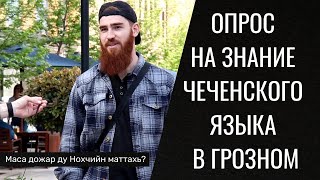 Опрос на знание чеченского языка в Грозном. Как чеченцы владеют родным языком? Чеченская Республика