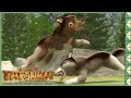 La Grande Chasse Des Louveteaux Suivez La Meute Tatonka 