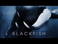 Blackfish (2013) - Official Trailer