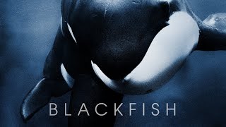 Blackfish -  Trailer