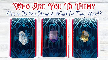 Who Are You To Them? Where Do You Stand & What Do They Want? Pick a Card Love Reading