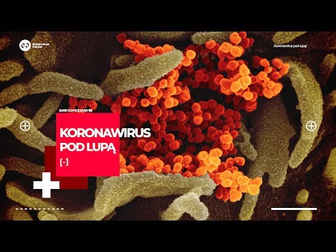 Koronawirus pod lupą | Jak zrozumieć genom SARS-CoV-2, nie wychodząc z domu? CZĘŚĆ 2