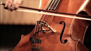 Bach Cello Ringtone | Ringtones for Android | Classical Music Ringtones Resimi