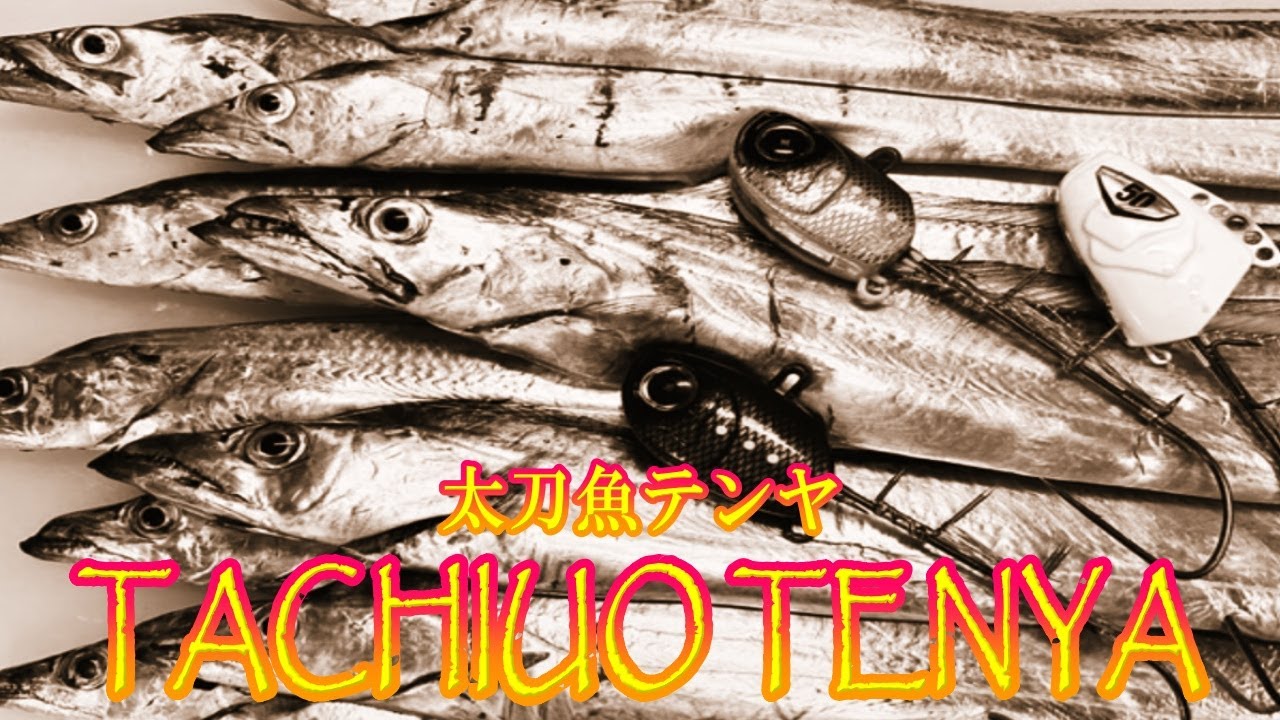 タチウオテンヤ】 今年の瀬戸内海タチウオはどう？ - YouTube