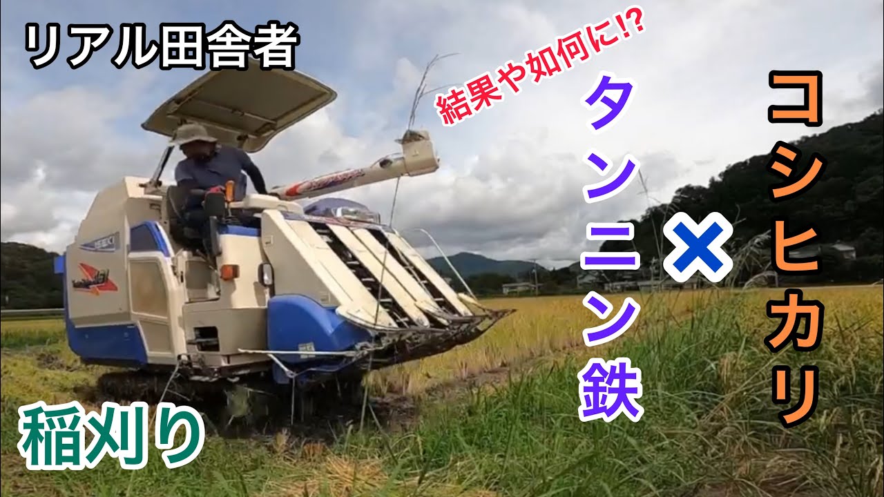 【高知県】2021.8/23、タンニン鉄圃場の稲刈り「コシヒカリ」～イセキHFG461