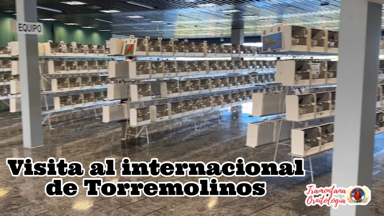 Visita al internacional de TORREMOLINOS