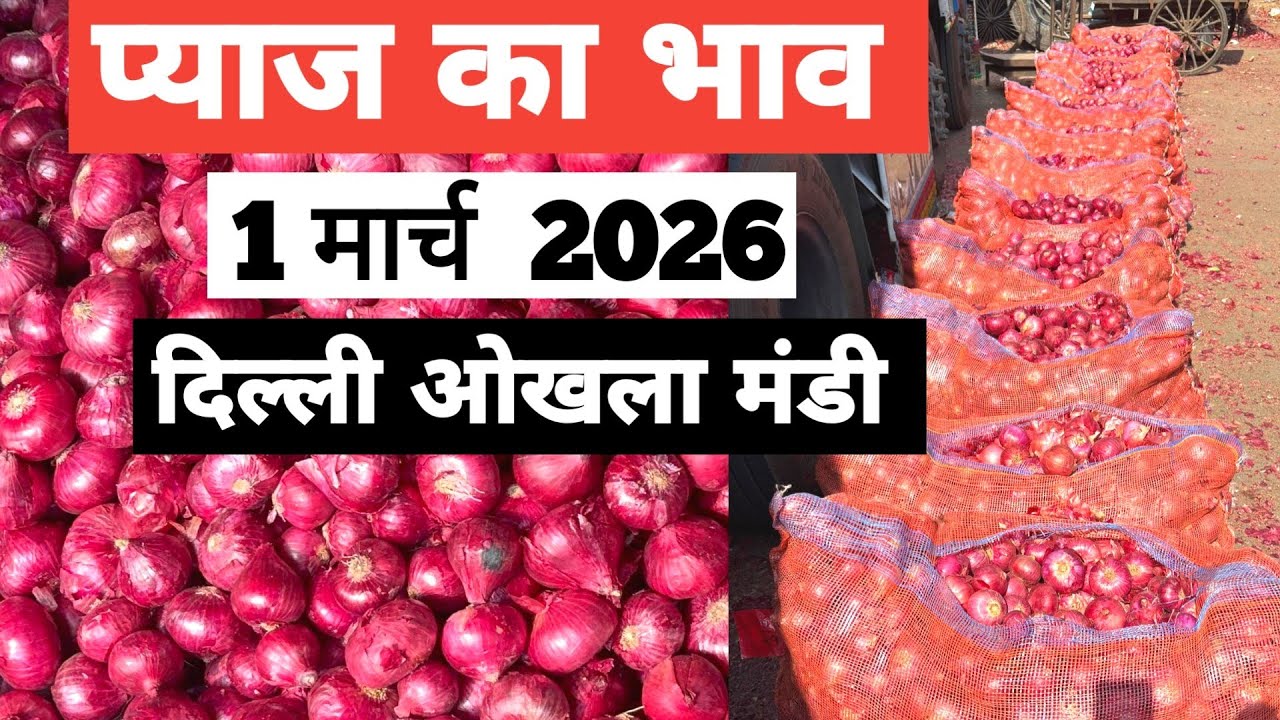 1 March 2026 🧅 प्याज़ का भाव दिल्ली ओखला मंडी ।। Today Onion Rate in Okhla Mandi || Bharat ke Bazar