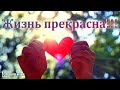 Жизнь прекрасна!!! - ПЕСНЯ