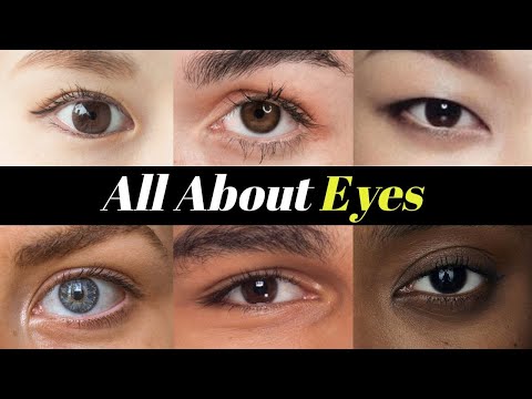 Video: Pre rôzne tvary očí?