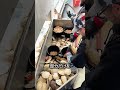ホタテの処理方法